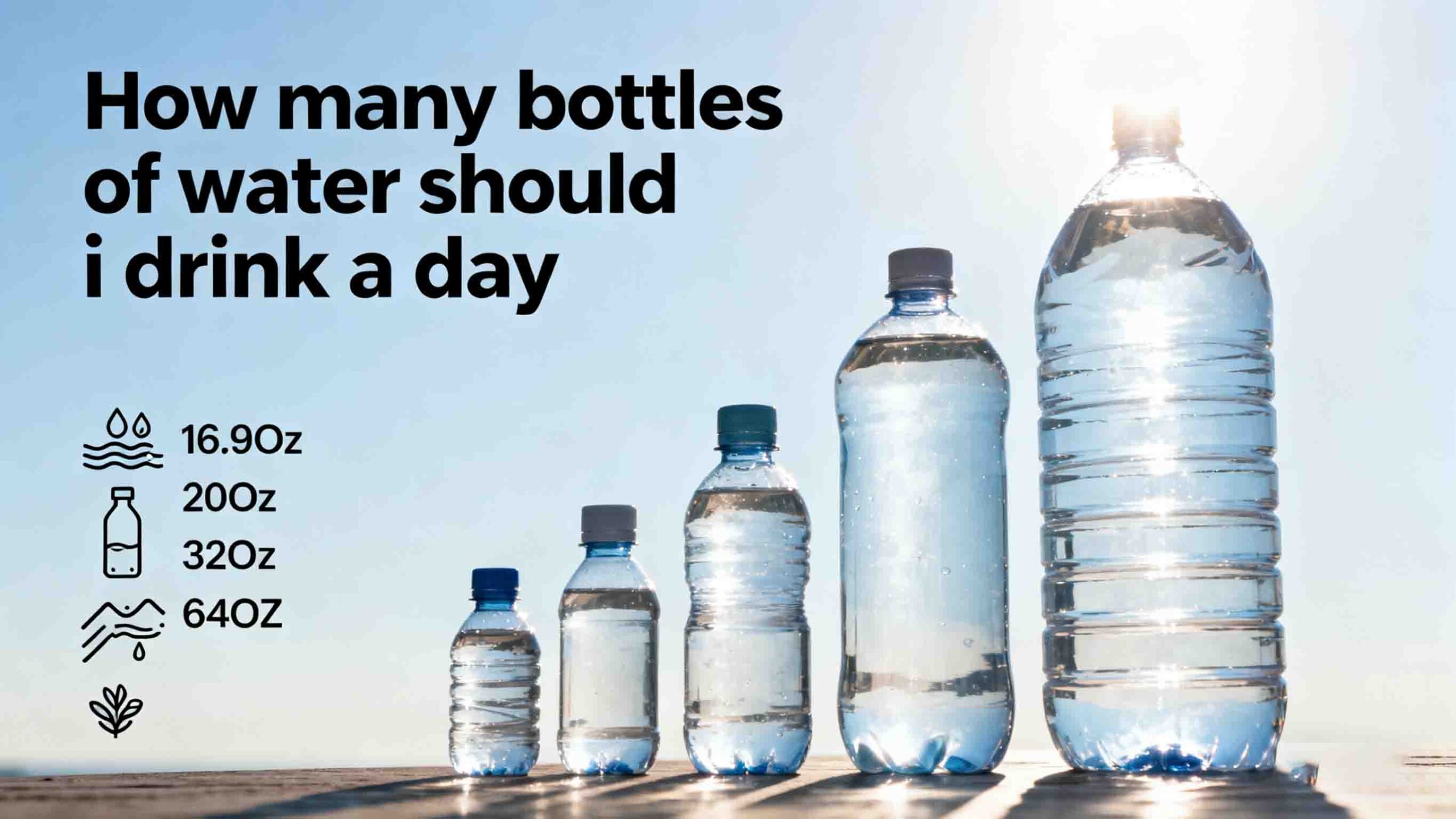 How Many Bottles of Water Should I Drink a Day? [Free Quick Calculator] -  Hydrabottle Store